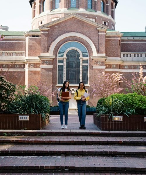 pexels-george-pak-7972556