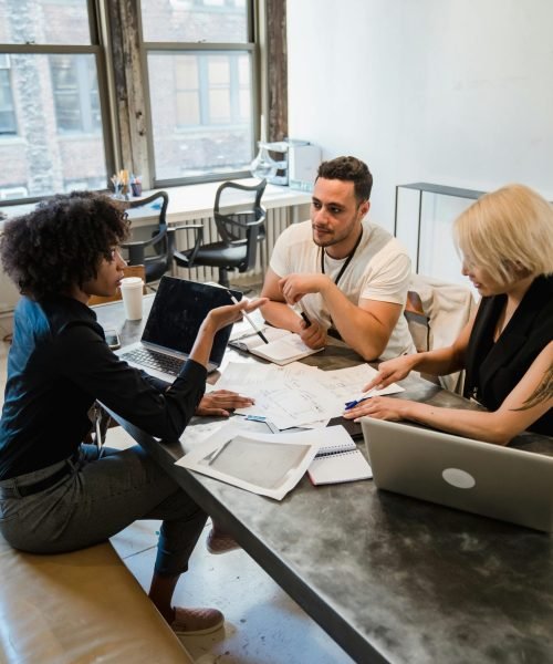 pexels-mizunokozuki-12903342